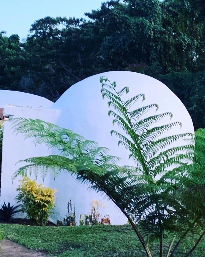 마테이 Camp Taveuni 호스텔 외부 사진
