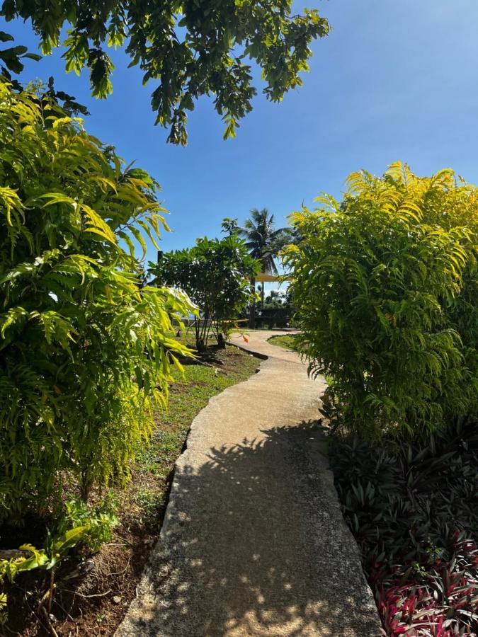 마테이 Camp Taveuni 호스텔 외부 사진