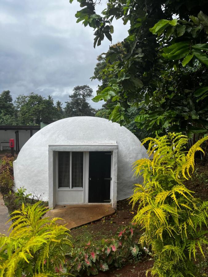 마테이 Camp Taveuni 호스텔 외부 사진