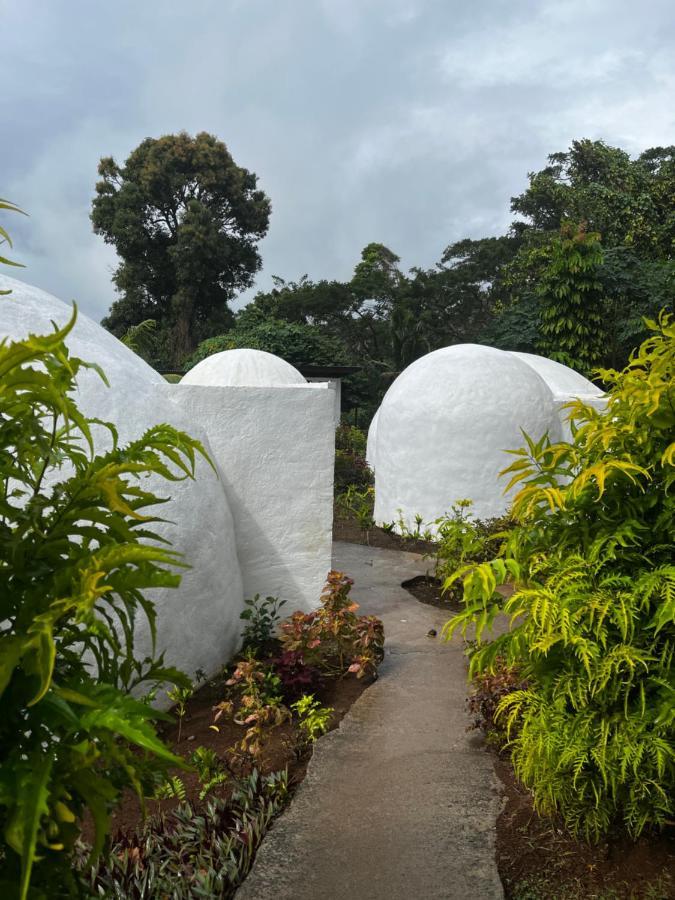 마테이 Camp Taveuni 호스텔 외부 사진